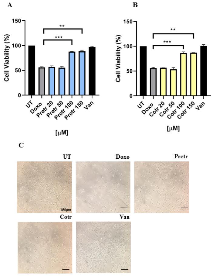 https://cdn.ncbi.nlm.nih.gov/pmc/blobs/1978/7468857/9b18990786d8/nutrients-12-02317-g002.jpg