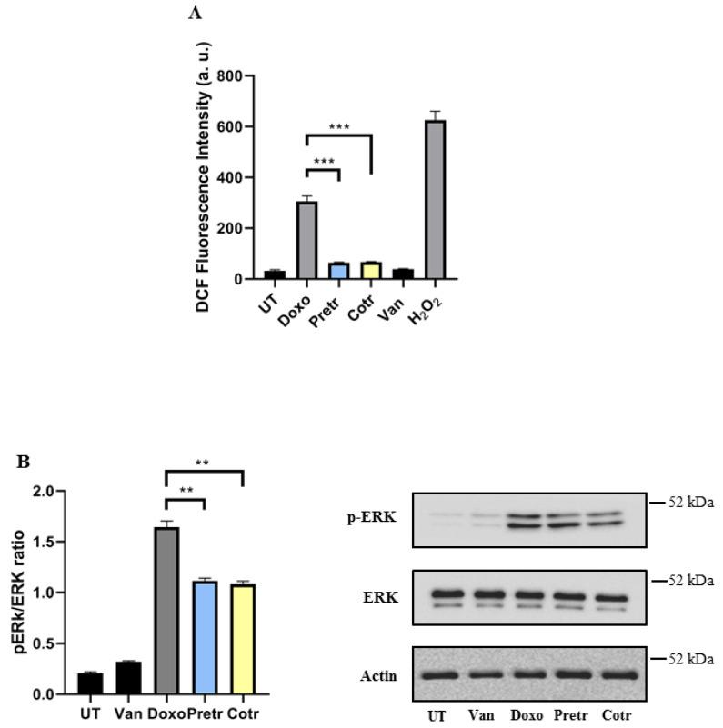 https://cdn.ncbi.nlm.nih.gov/pmc/blobs/1978/7468857/cea3a7bdfbfd/nutrients-12-02317-g006.jpg