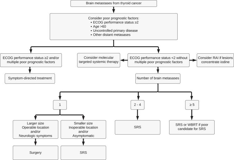 https://cdn.ncbi.nlm.nih.gov/pmc/blobs/1979/12087279/5d8fb304c2b6/EO-25-0002fig1.jpg