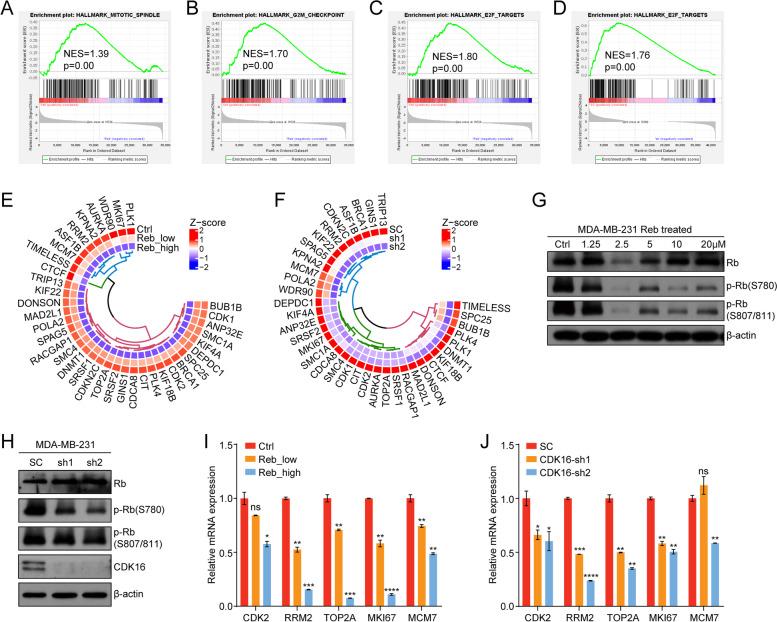 https://cdn.ncbi.nlm.nih.gov/pmc/blobs/197b/9027050/25489fcb3bf9/13046_2022_2362_Fig7_HTML.jpg