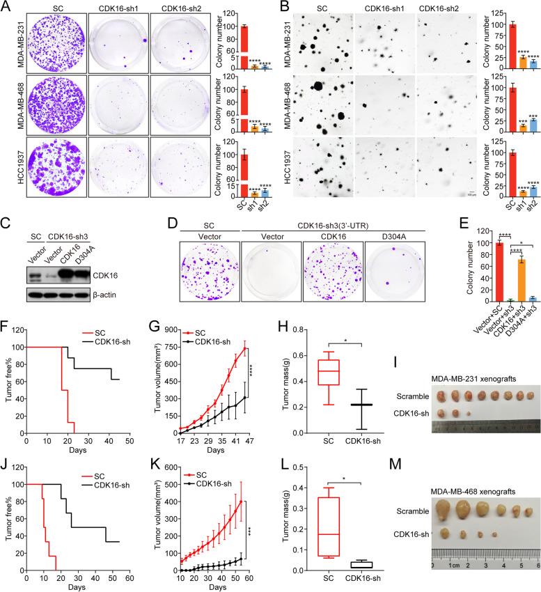 https://cdn.ncbi.nlm.nih.gov/pmc/blobs/197b/9027050/b03dadebb5e5/13046_2022_2362_Fig2_HTML.jpg
