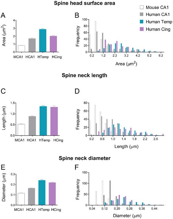 https://cdn.ncbi.nlm.nih.gov/pmc/blobs/197e/12108034/6128dbbf28ab/CNE-533-e70060-g005.jpg