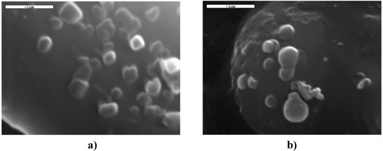 https://cdn.ncbi.nlm.nih.gov/pmc/blobs/197f/6255325/0677ae3b8e76/molecules-14-02410-g008.jpg