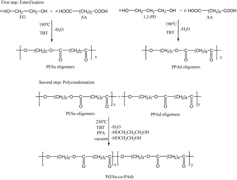 https://cdn.ncbi.nlm.nih.gov/pmc/blobs/197f/6255325/8d7d95b43f30/molecules-14-02410-g012.jpg