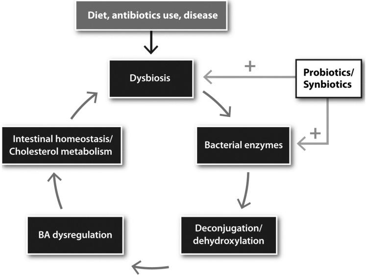 https://cdn.ncbi.nlm.nih.gov/pmc/blobs/1983/5023267/fe62a1e1de2f/microorganisms-03-00641-g003.jpg
