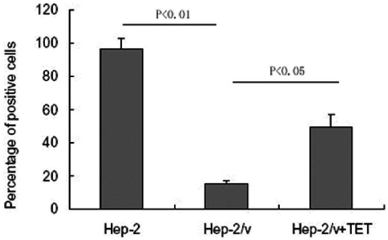 https://cdn.ncbi.nlm.nih.gov/pmc/blobs/1983/7418264/84fc99c45520/10.1177_0300060520944706-fig1.jpg