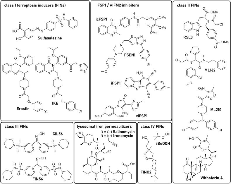 https://cdn.ncbi.nlm.nih.gov/pmc/blobs/1984/11253697/7e87a9579a9c/gr13.jpg