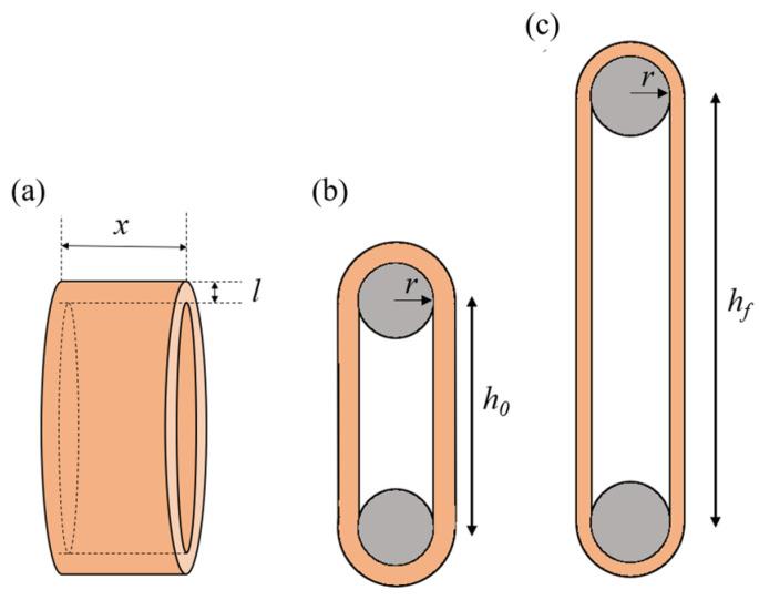 https://cdn.ncbi.nlm.nih.gov/pmc/blobs/1984/12194050/295977e32d11/jfb-16-00198-g003.jpg