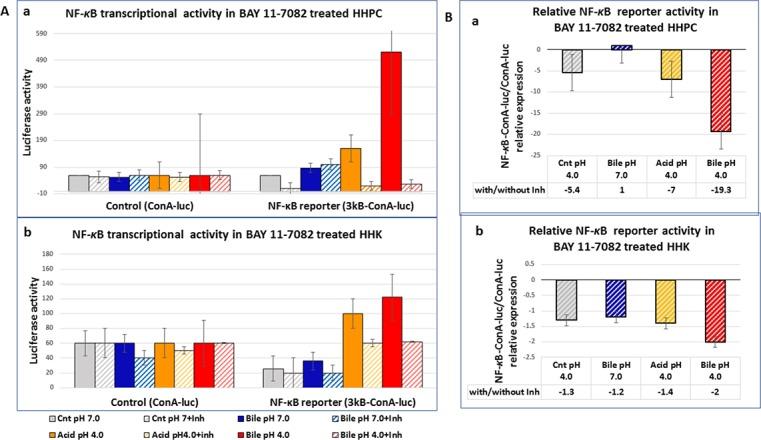 https://cdn.ncbi.nlm.nih.gov/pmc/blobs/1984/5814181/2d8d88a5c6da/oncotarget-09-5876-g004.jpg