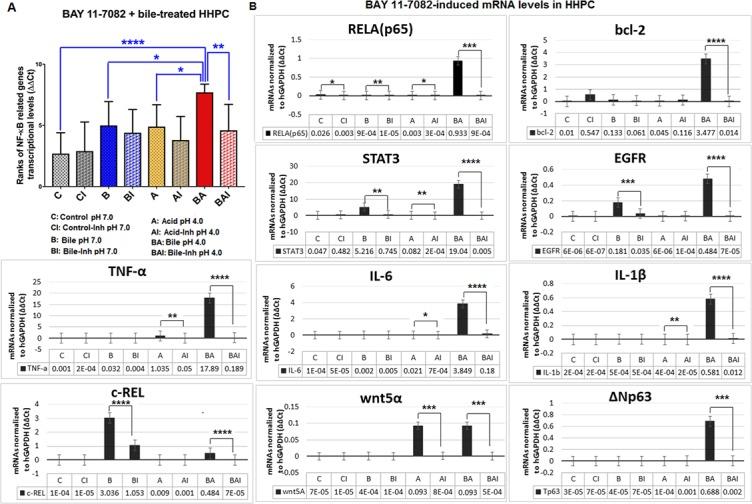 https://cdn.ncbi.nlm.nih.gov/pmc/blobs/1984/5814181/de42152cdc6b/oncotarget-09-5876-g005.jpg