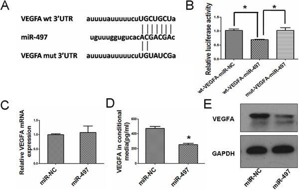 https://cdn.ncbi.nlm.nih.gov/pmc/blobs/1985/4745744/bca74f64c42c/oncotarget-06-29527-g004.jpg