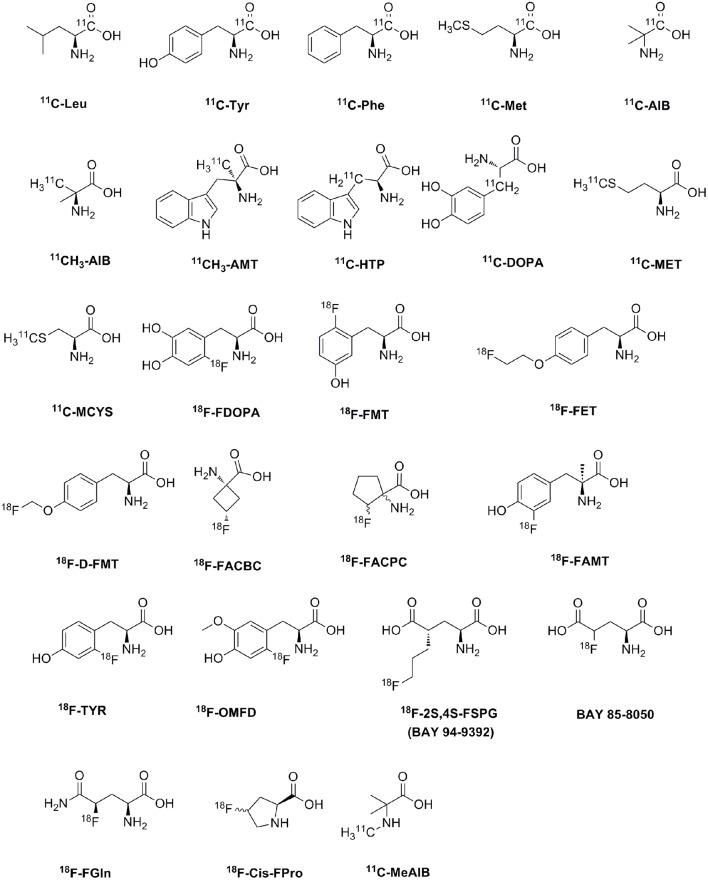 https://cdn.ncbi.nlm.nih.gov/pmc/blobs/1985/5775220/f0528eb66a36/fchem-05-00124-g0002.jpg