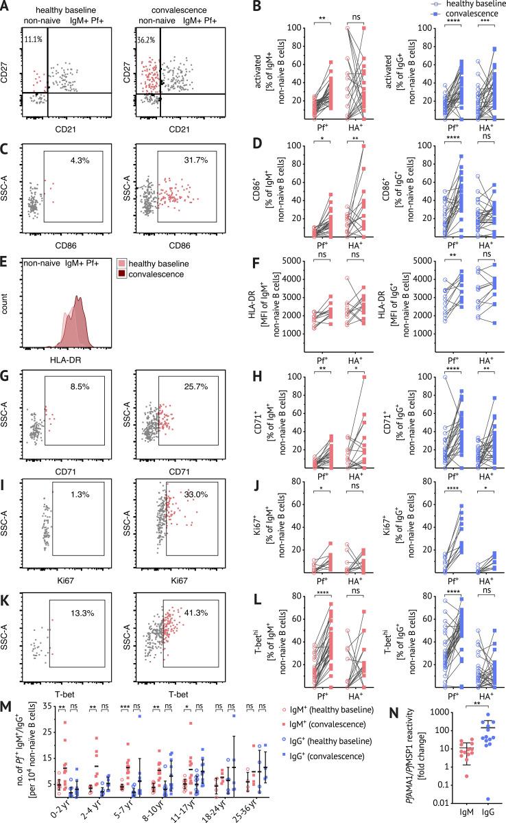 https://cdn.ncbi.nlm.nih.gov/pmc/blobs/1985/7938365/3c3eba3c621d/JEM_20200901_Fig4.jpg