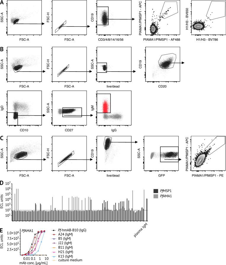 https://cdn.ncbi.nlm.nih.gov/pmc/blobs/1985/7938365/d35249e6447d/JEM_20200901_FigS2.jpg
