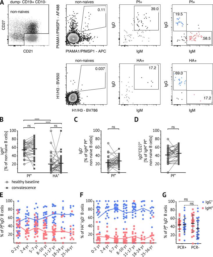 https://cdn.ncbi.nlm.nih.gov/pmc/blobs/1985/7938365/f42f5b05476d/JEM_20200901_Fig2.jpg
