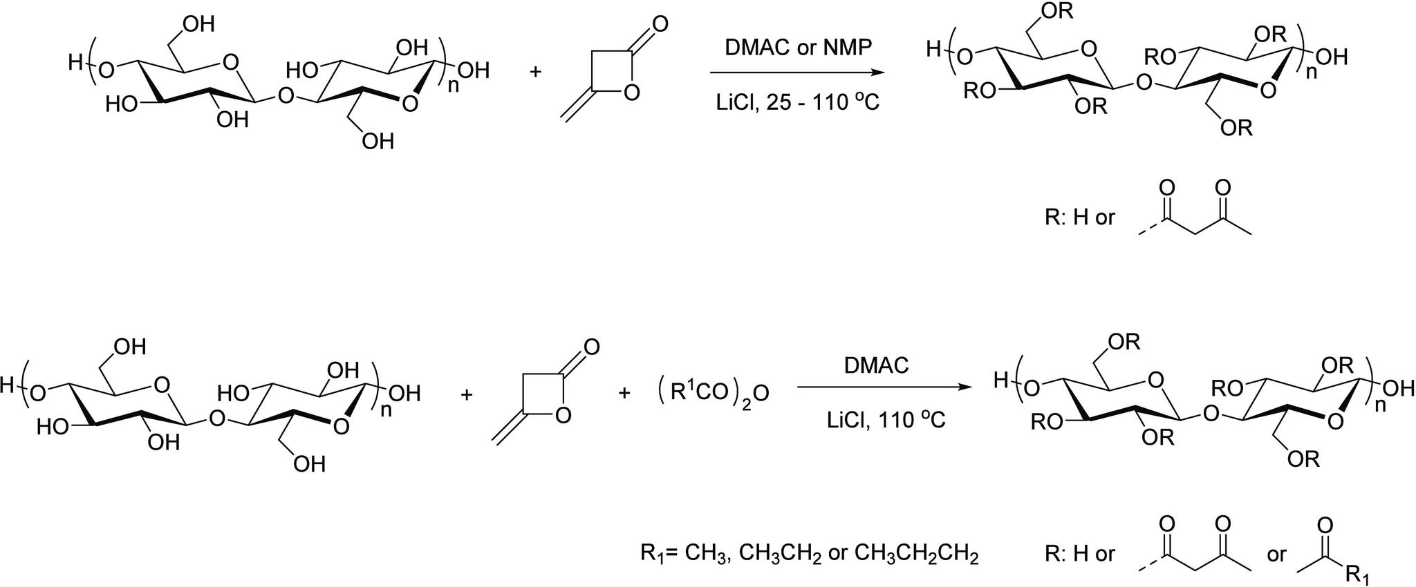https://cdn.ncbi.nlm.nih.gov/pmc/blobs/1987/11005020/94418dd52779/bm4c00020_0007.jpg