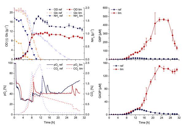 https://cdn.ncbi.nlm.nih.gov/pmc/blobs/1988/3526501/c717a3c7eafb/1475-2859-11-122-5.jpg