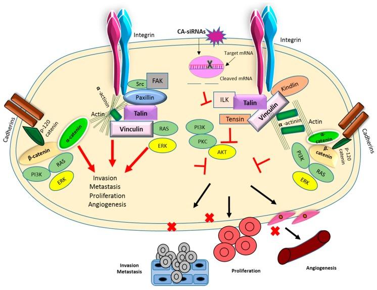 https://cdn.ncbi.nlm.nih.gov/pmc/blobs/1989/6680929/a18214ce1717/pharmaceutics-11-00309-g018.jpg
