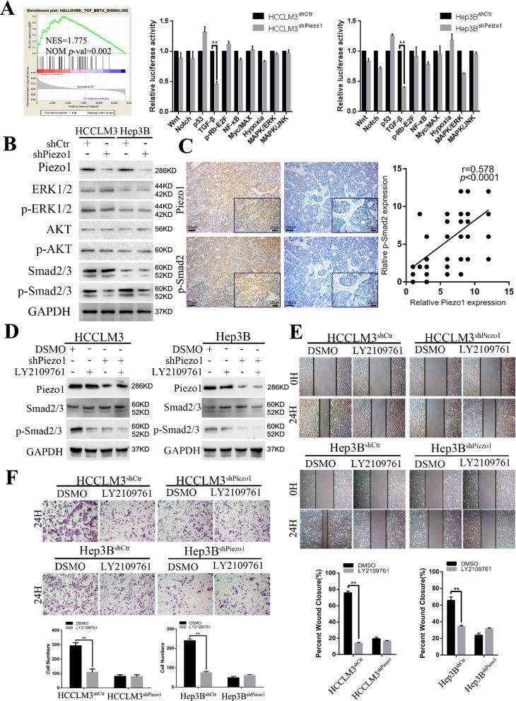 https://cdn.ncbi.nlm.nih.gov/pmc/blobs/1989/9035260/0153ef381dcc/12935_2022_2574_Fig5_HTML.jpg