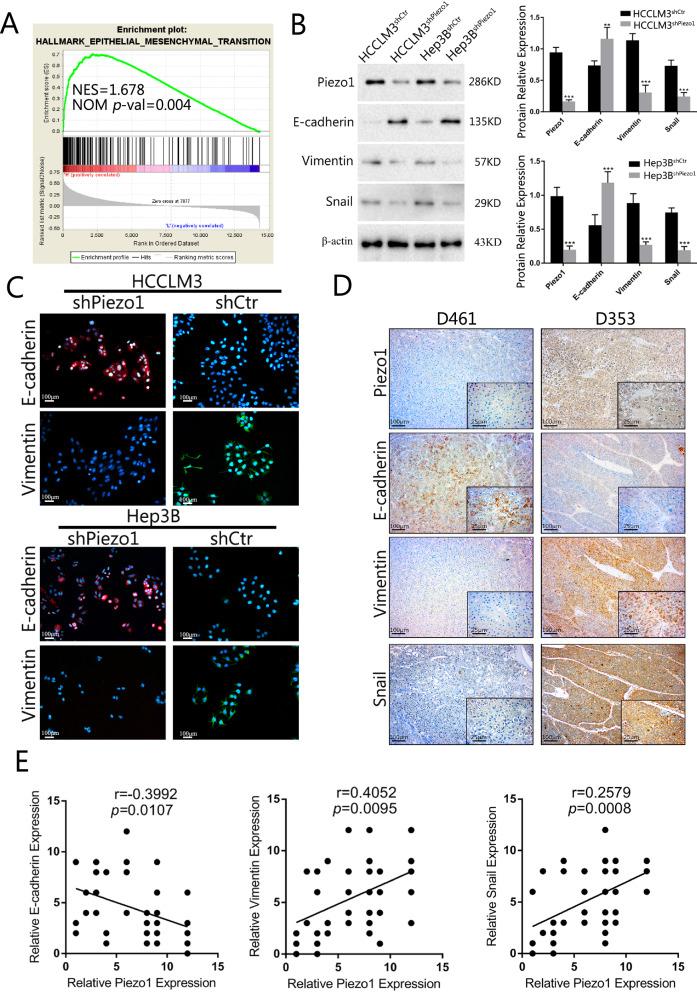 https://cdn.ncbi.nlm.nih.gov/pmc/blobs/1989/9035260/7809e153c5ce/12935_2022_2574_Fig4_HTML.jpg