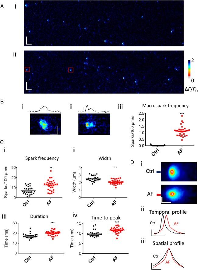 https://cdn.ncbi.nlm.nih.gov/pmc/blobs/198b/4648199/2b124a2a4593/cvv23104.jpg