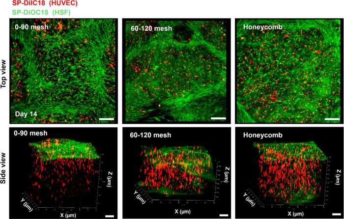 https://cdn.ncbi.nlm.nih.gov/pmc/blobs/198d/12015962/e798aa76936c/mt4c01541_0008.jpg