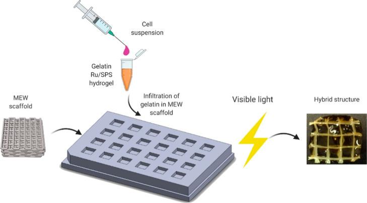 https://cdn.ncbi.nlm.nih.gov/pmc/blobs/198d/12015962/ec1ba9eea15f/mt4c01541_0002.jpg