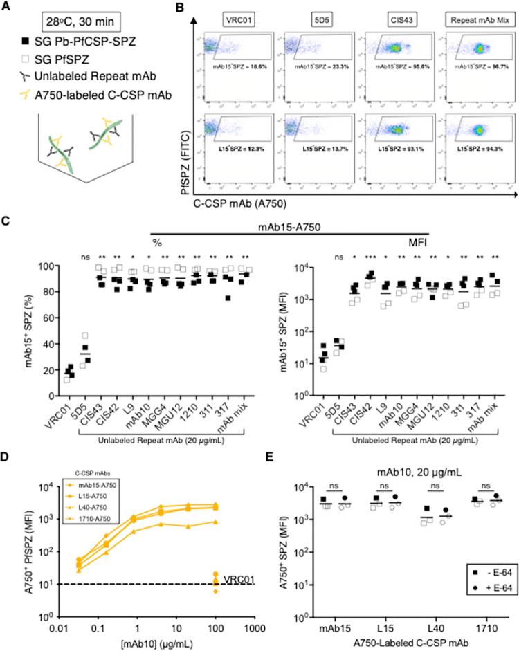 https://cdn.ncbi.nlm.nih.gov/pmc/blobs/198e/8675929/65fa760390f6/ppat.1010133.g004.jpg