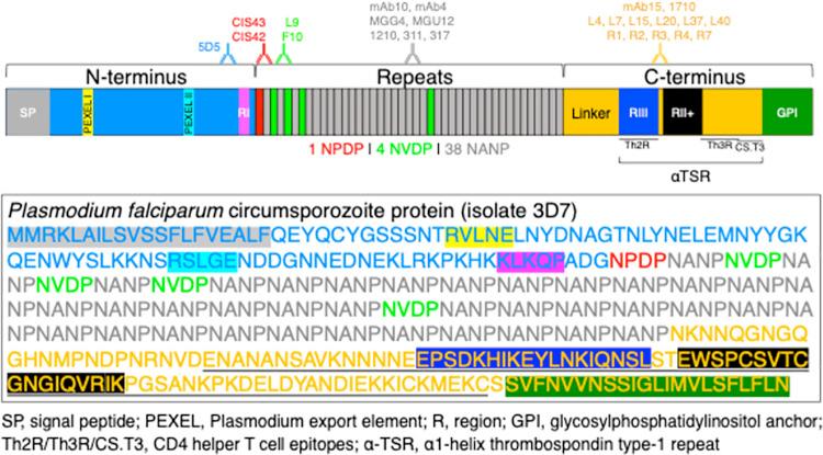 https://cdn.ncbi.nlm.nih.gov/pmc/blobs/198e/8675929/ecd485629006/ppat.1010133.g001.jpg