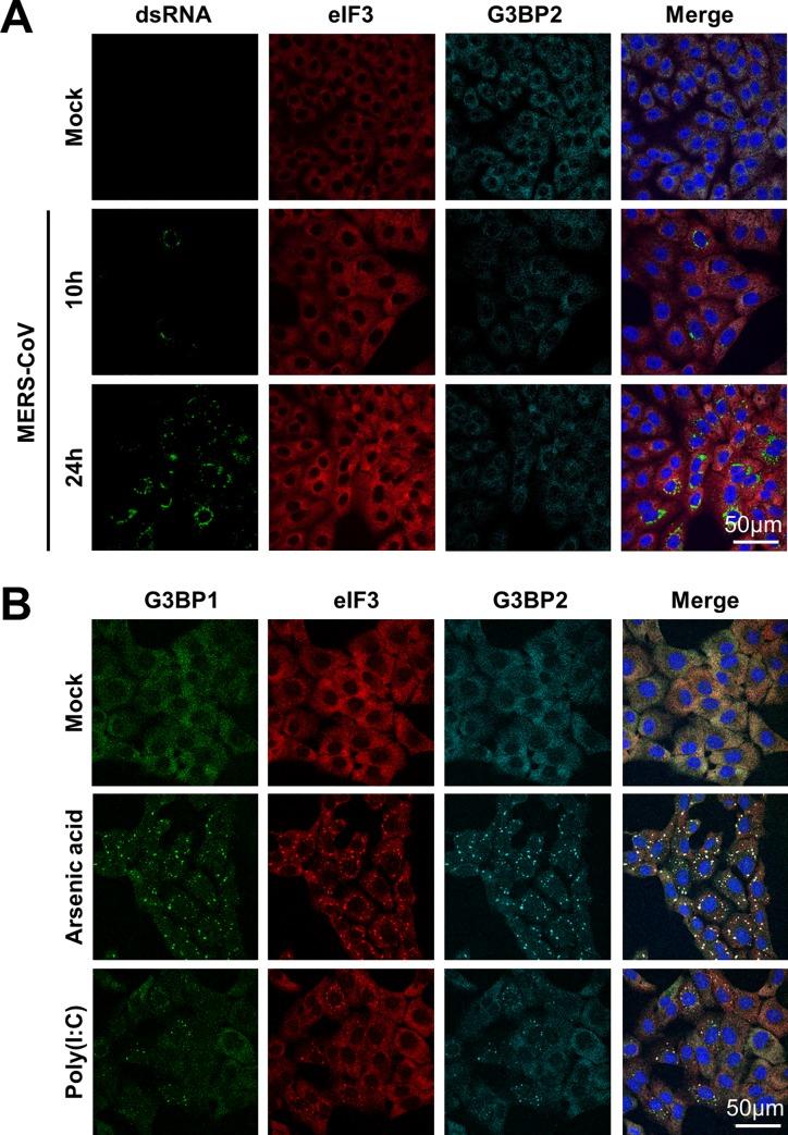 https://cdn.ncbi.nlm.nih.gov/pmc/blobs/1990/5081173/d1308f37823b/ppat.1005982.g001.jpg