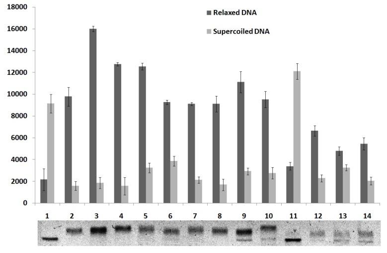 https://cdn.ncbi.nlm.nih.gov/pmc/blobs/1992/6270168/576219dc31f9/molecules-18-15035-g006.jpg