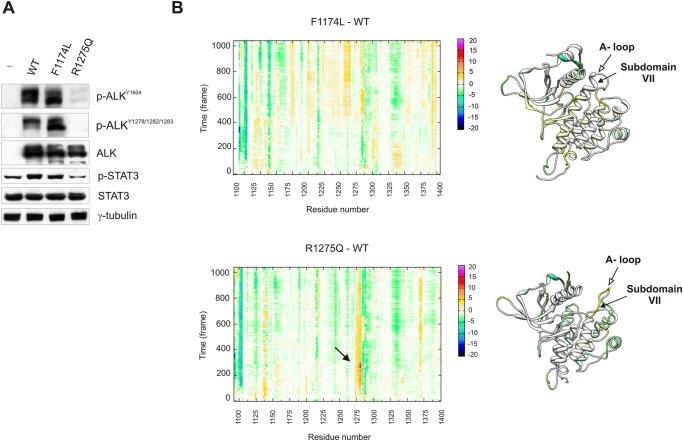 https://cdn.ncbi.nlm.nih.gov/pmc/blobs/1993/4395299/289643ed83b6/pone.0121378.g002.jpg