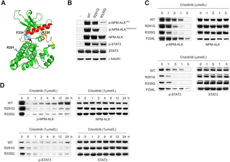 https://cdn.ncbi.nlm.nih.gov/pmc/blobs/1993/4395299/b671b2e38ccf/pone.0121378.g001.jpg