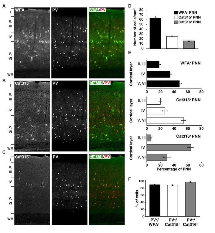 https://cdn.ncbi.nlm.nih.gov/pmc/blobs/1993/5801575/586458ddd094/fnint-12-00003-g0001.jpg