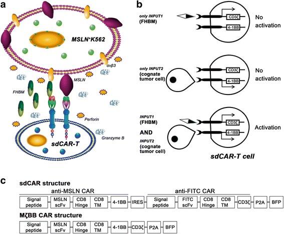 https://cdn.ncbi.nlm.nih.gov/pmc/blobs/1994/5859748/14611a4ce034/13045_2018_591_Fig1_HTML.jpg