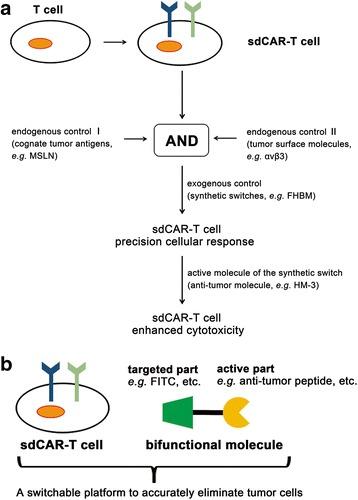 https://cdn.ncbi.nlm.nih.gov/pmc/blobs/1994/5859748/27c09b6adfdc/13045_2018_591_Fig6_HTML.jpg