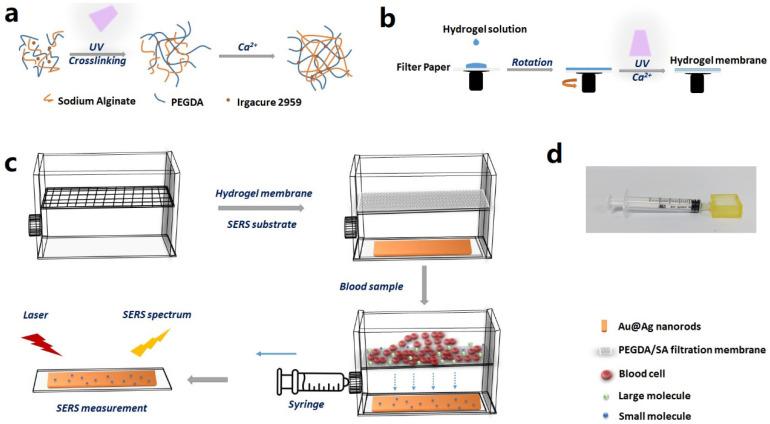 https://cdn.ncbi.nlm.nih.gov/pmc/blobs/1996/10295853/7735f5fa149f/biosensors-13-00611-g001.jpg