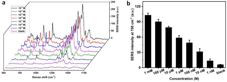 https://cdn.ncbi.nlm.nih.gov/pmc/blobs/1996/10295853/dca1320a133b/biosensors-13-00611-g005.jpg