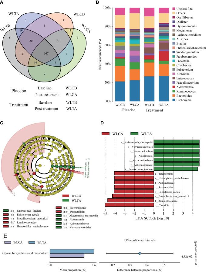 https://cdn.ncbi.nlm.nih.gov/pmc/blobs/1997/10073537/fea9b271167c/fendo-14-1054674-g007.jpg