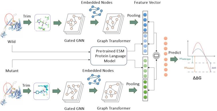 https://cdn.ncbi.nlm.nih.gov/pmc/blobs/1997/11927297/3aa9d4d02bbc/13321_2025_979_Fig1_HTML.jpg