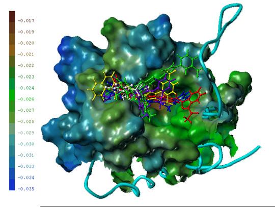 https://cdn.ncbi.nlm.nih.gov/pmc/blobs/1997/1660542/7feb852772a1/1471-2180-6-96-8.jpg