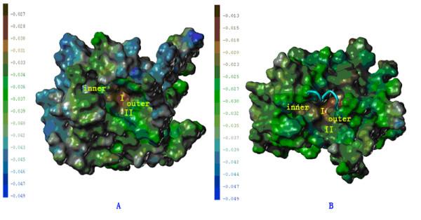 https://cdn.ncbi.nlm.nih.gov/pmc/blobs/1997/1660542/a82a5ed32648/1471-2180-6-96-3.jpg