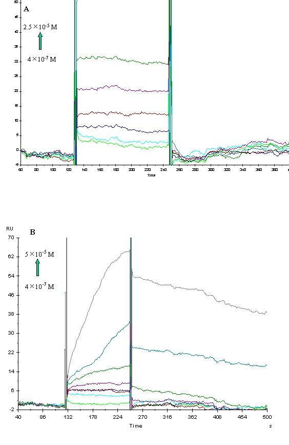https://cdn.ncbi.nlm.nih.gov/pmc/blobs/1997/1660542/b433026fd776/1471-2180-6-96-6.jpg