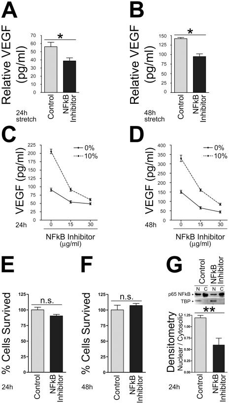 https://cdn.ncbi.nlm.nih.gov/pmc/blobs/199a/3236775/d95422ecda55/pone.0029055.g004.jpg