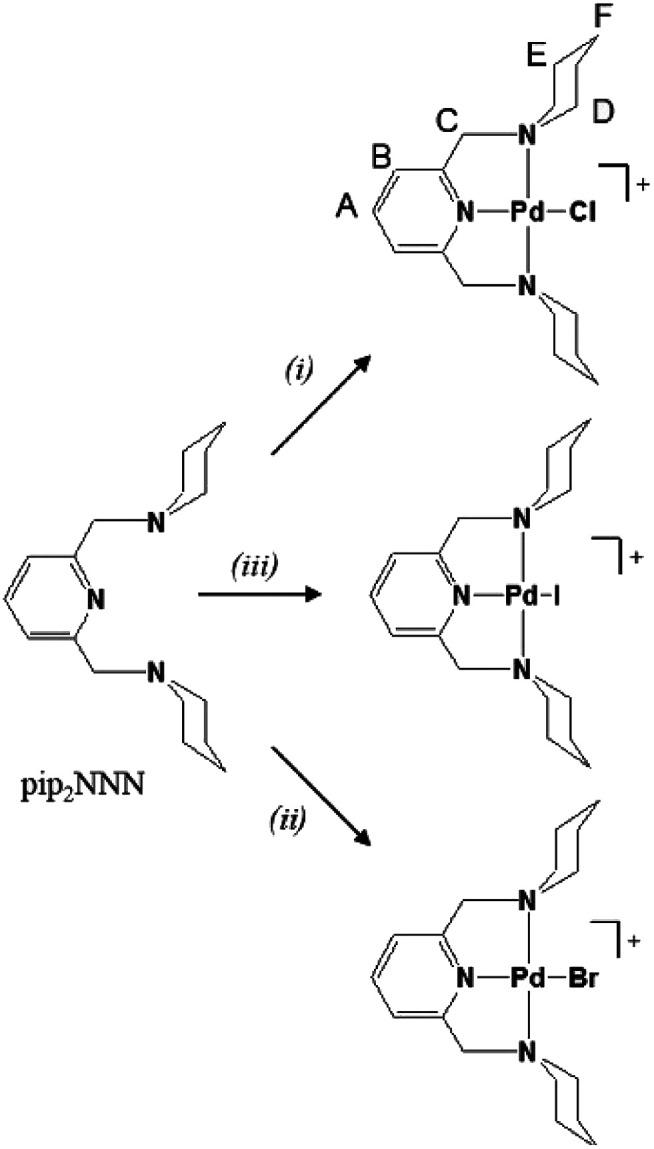 https://cdn.ncbi.nlm.nih.gov/pmc/blobs/199b/9070094/ec394a475a6d/c9ra05423e-s1.jpg