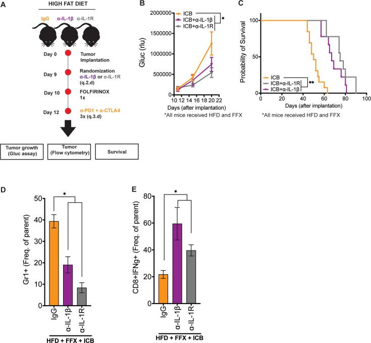 https://cdn.ncbi.nlm.nih.gov/pmc/blobs/199c/12104899/4b0b81aa81fc/jitc-13-5-g004.jpg