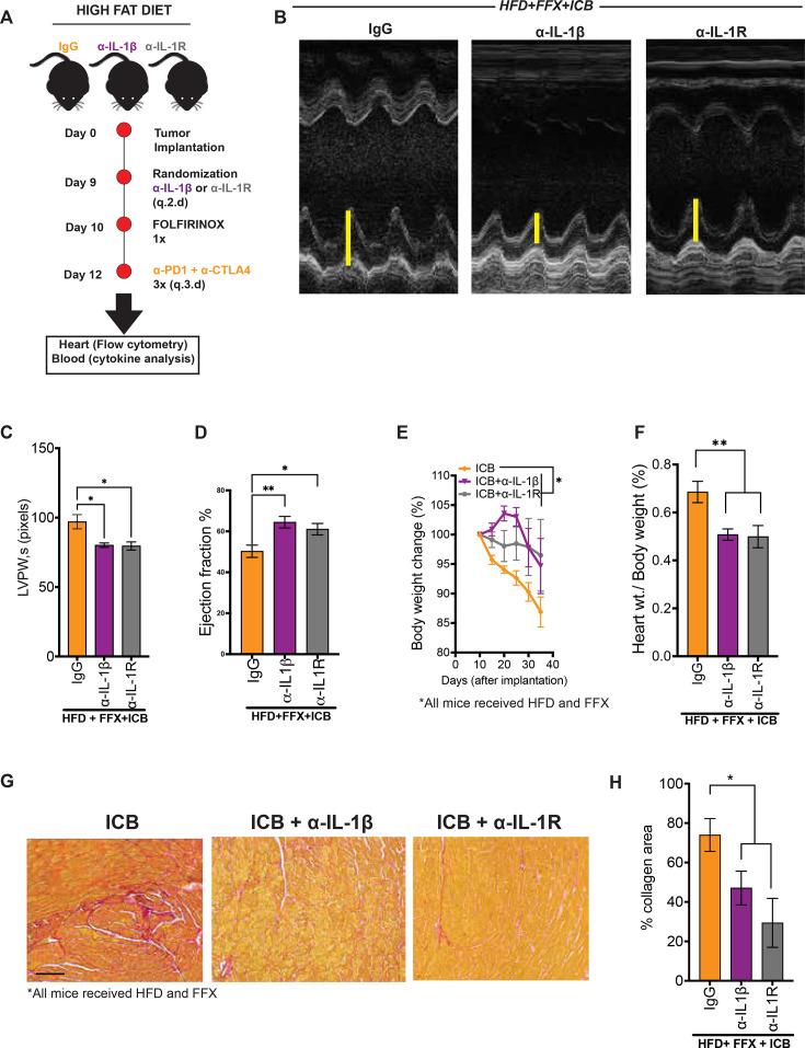https://cdn.ncbi.nlm.nih.gov/pmc/blobs/199c/12104899/769eef6787c9/jitc-13-5-g003.jpg