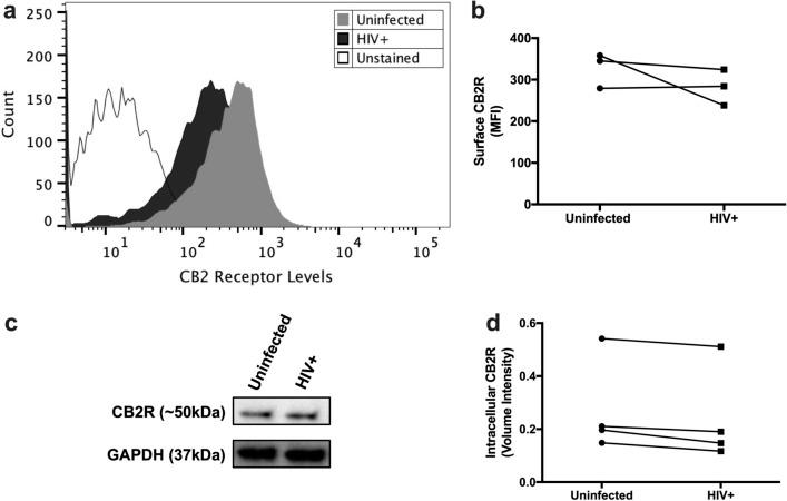 https://cdn.ncbi.nlm.nih.gov/pmc/blobs/19a0/8741953/61cae4f2b755/41598_2021_3896_Fig1_HTML.jpg