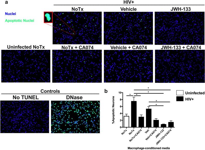 https://cdn.ncbi.nlm.nih.gov/pmc/blobs/19a0/8741953/a79f6f4d549f/41598_2021_3896_Fig5_HTML.jpg