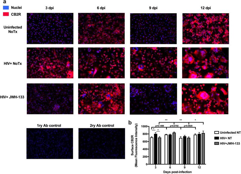 https://cdn.ncbi.nlm.nih.gov/pmc/blobs/19a0/8741953/b1a853b99d6b/41598_2021_3896_Fig3_HTML.jpg